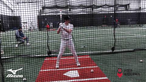 Cadence Gibson - (02/17/2026)